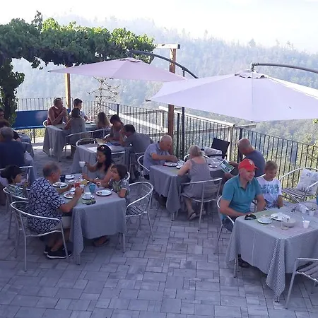 I Gelsi E I Castagni Polverara