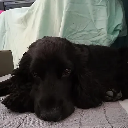 ファームステイ I Gelsi E I Castagni Polverara