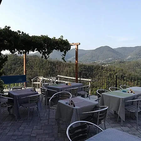 I Gelsi E I Castagni