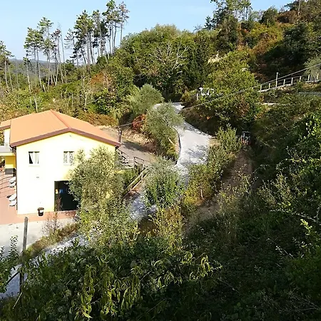 I Gelsi E I Castagni * Polverara