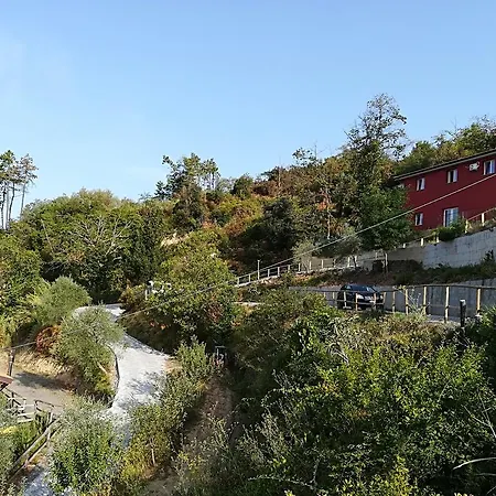 I Gelsi E I Castagni *