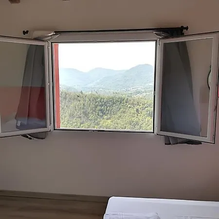 I Gelsi E I Castagni Polverara