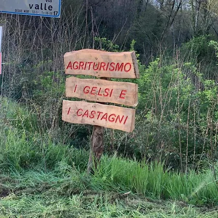 I Gelsi E I Castagni Polverara