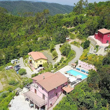 I Gelsi E I Castagni Polverara