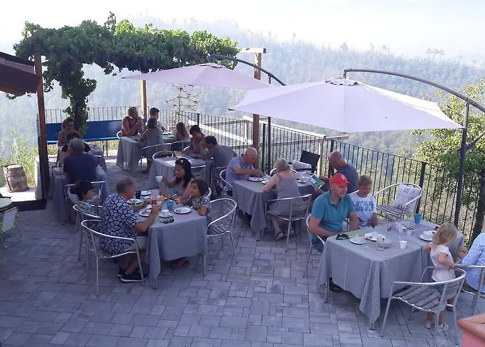 I Gelsi E I Castagni Polverara