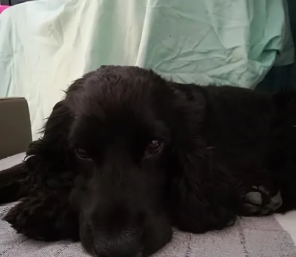 Gospodarstwo agroturystyczne I Gelsi E I Castagni Polverara