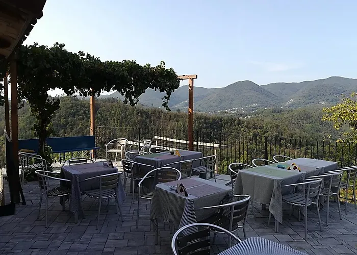 I Gelsi E I Castagni