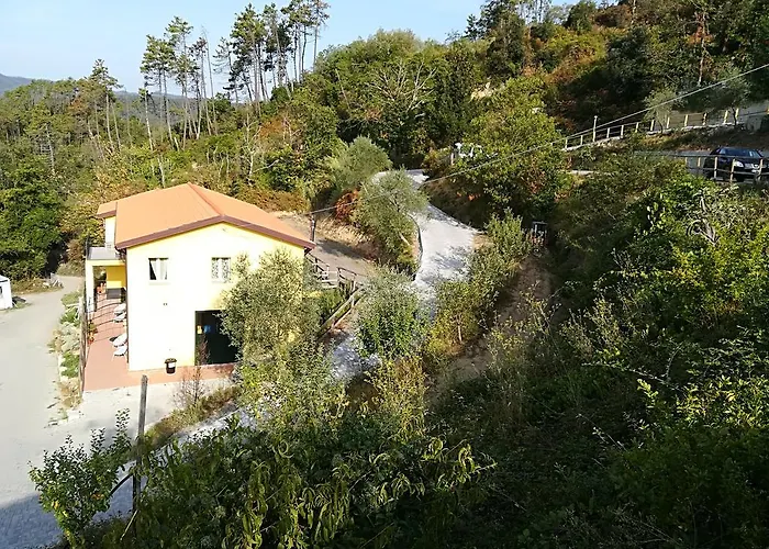 I Gelsi E I Castagni * Polverara