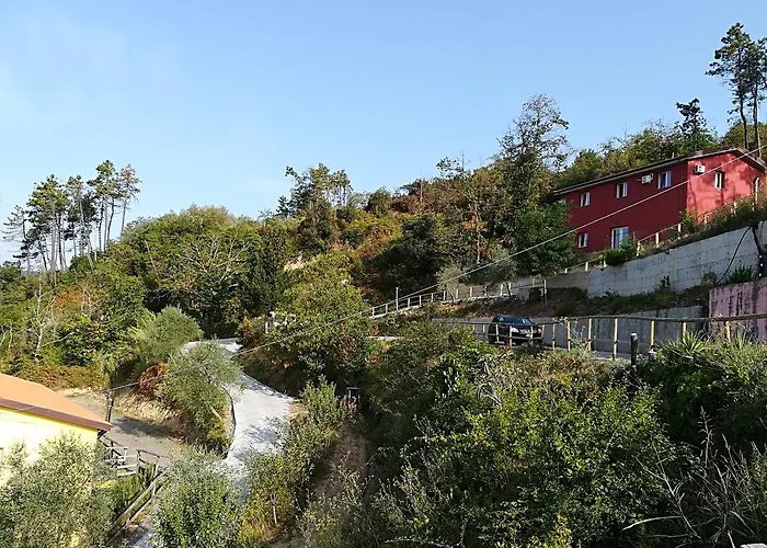 I Gelsi E I Castagni *