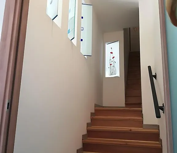 I Gelsi E I Castagni Polverara